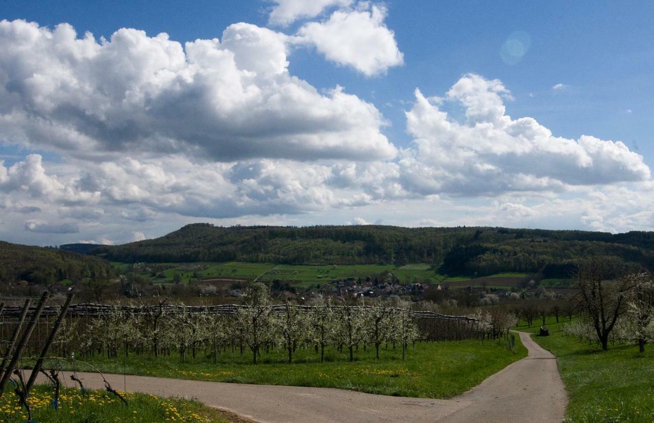 Ferienhaus Suedbaden Schliengen Kültér fotó